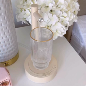 Rechargeable water dispenser